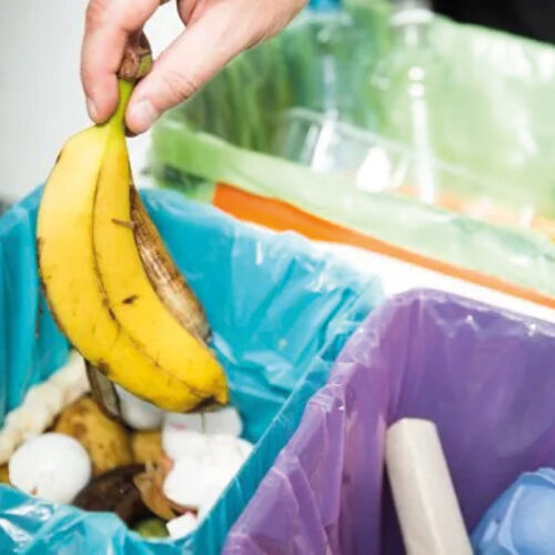 Ecodor Odorshield (koncentrátum)